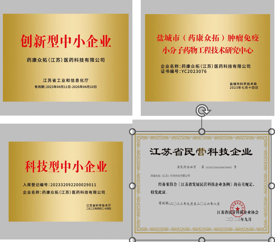 药康众拓（江苏）医药科技有限公司先后被评为科技型中小企业、创新型中小企业、江苏省民营科技企业